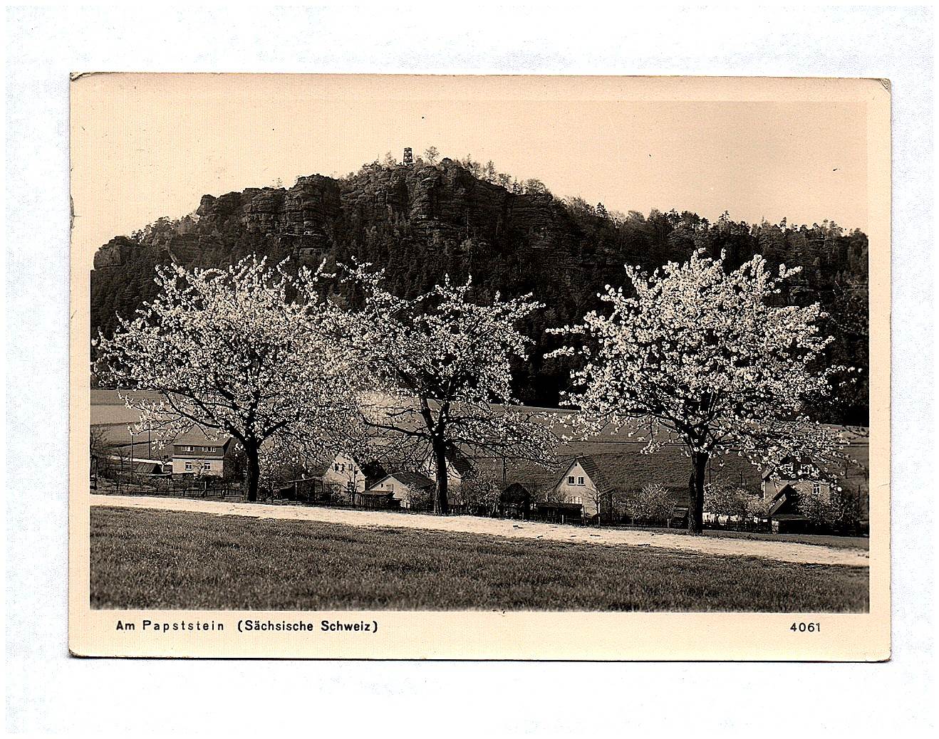 Ak Am Papststein Sächsische Schweiz DDR Ak474