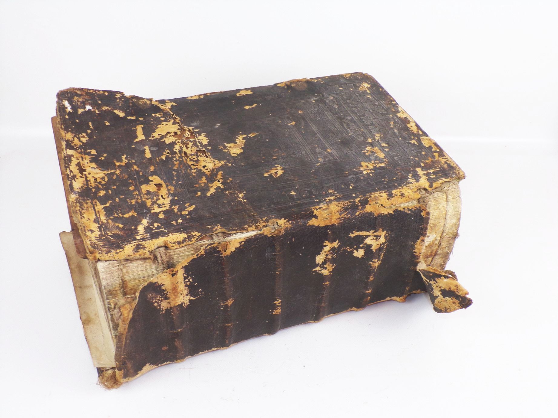 Bibel heilige Schrift Martin Luther 1703 Ledereinband 