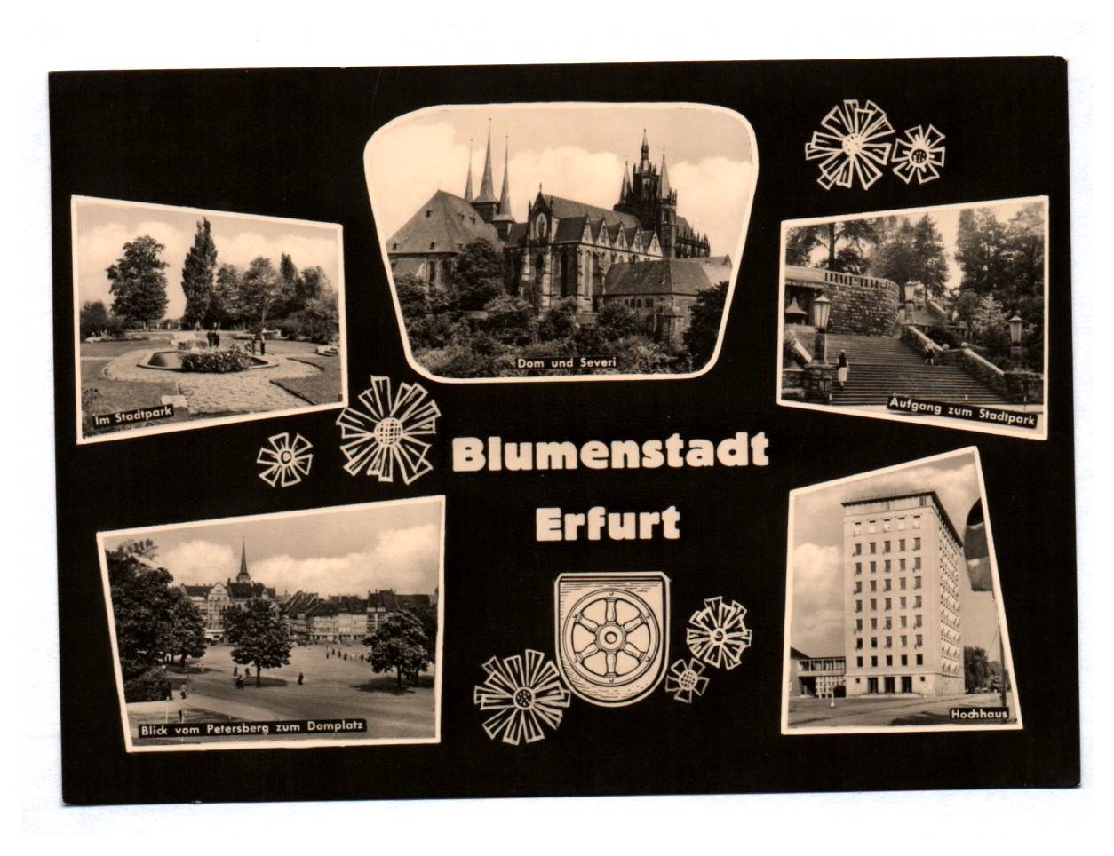 Ak Blumenstadt Erfurt Blick vom Petersberg Dom und Severi Stadtpark Echt Foto DDR Ak Blumenstadt Erfurt Blick vom Petersberg Dom und Severi Stadtpark Echt Foto DDR