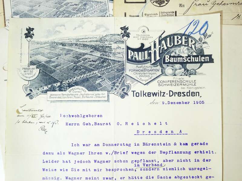 Konvolut Paul Hauber Baumschule Dresden Tolkewitz Litho Briefköpfe Karten 1910er 
