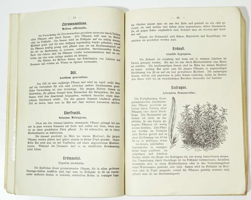 Der Erfurter Gemüsehändler Ein Wegweiser durch den Gemüsebau 