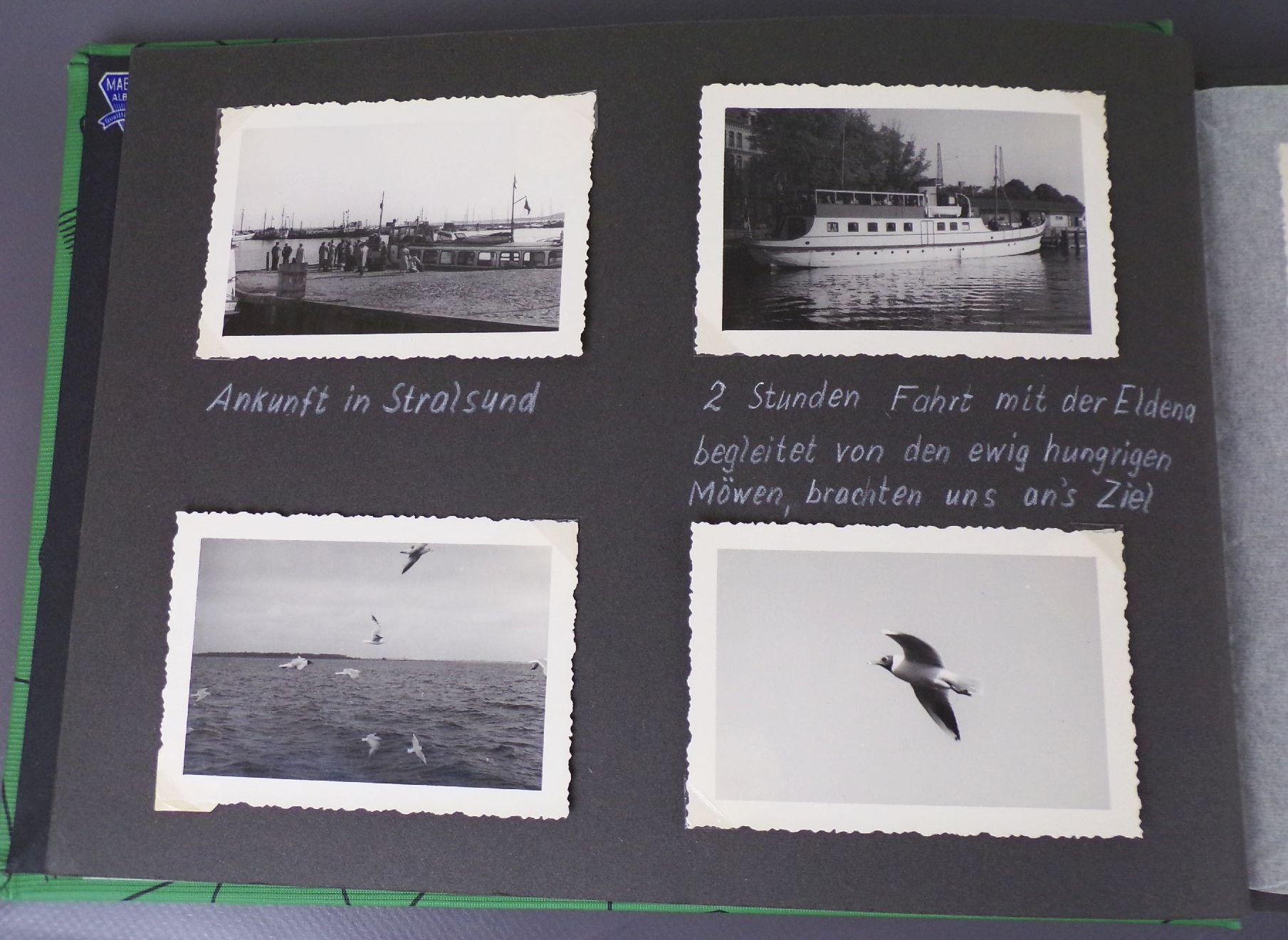 Fotoalbum Hiddensee Neuendorf Ostsee Urlaub 1958 Reitturnier Pirna Pferde Fotoalbum Hiddensee Neuendorf Ostsee Urlaub 1958 Reitturnier Pirna Pferde