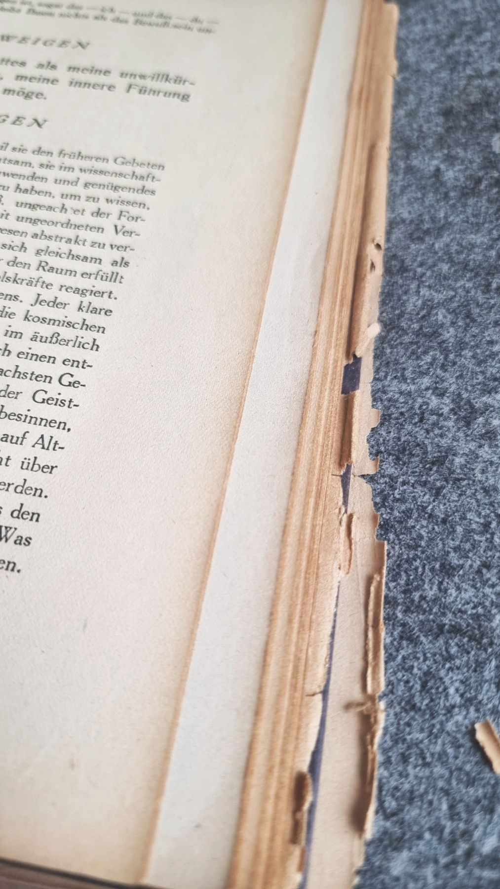 Der Weg des Schweigens A Curtis 1923 Den Weg zur Verinnerlichung Buch Der Weg des Schweigens A Curtis 1923 Den Weg zur Verinnerlichung Buch