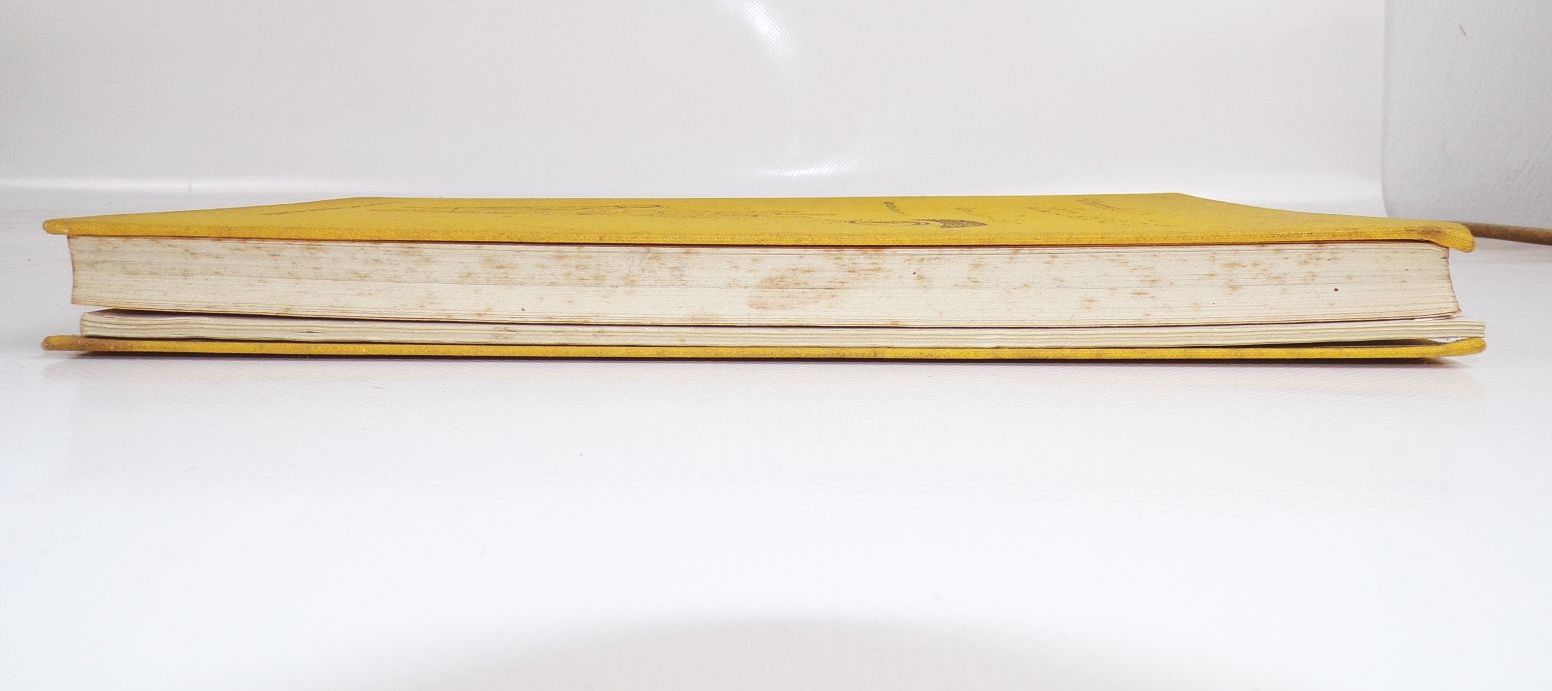 Buch Wissenschaftliche Handlesekunst von Ernest Issberner Haldane 1928