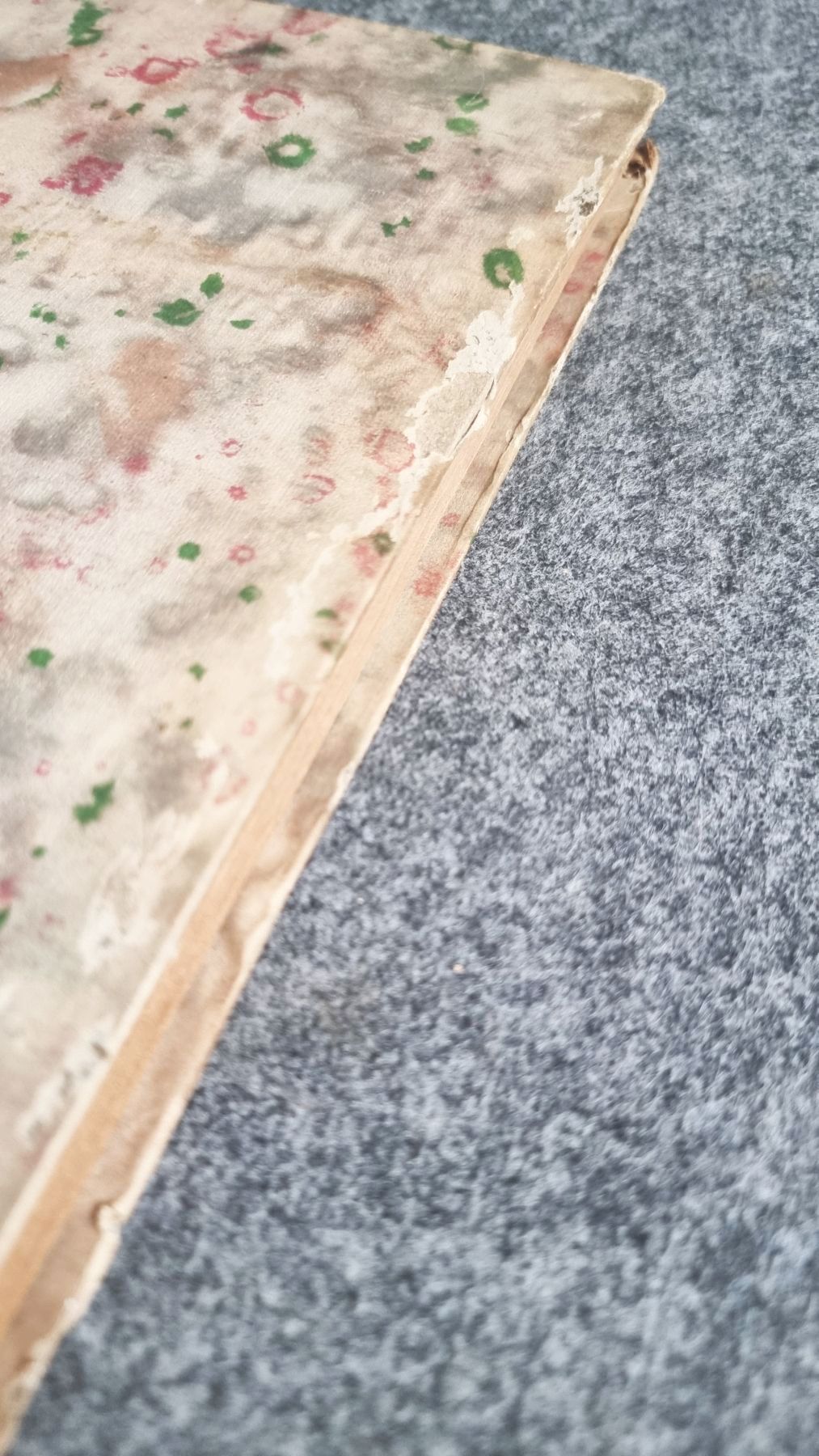 Das Geheimnis der Schönheit von Ola Alsen Berlin 1920 altes Buch Das Geheimnis der Schönheit von Ola Alsen Berlin 1920 altes Buch