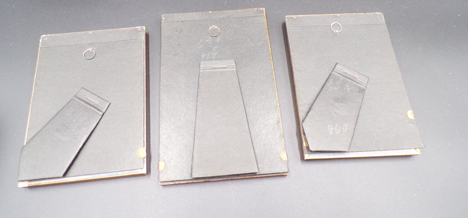 3 Bilder Blumen aus Jerusalem Israel getrocknete Pflanzen Herbarium 