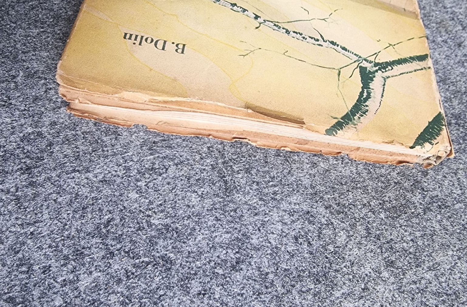 Jagd mit der Filmkamera B Dolin Henschel Verlag Berlin 1952 Aufzeichnungen eines Filmregisseurs Jagd mit der Filmkamera B Dolin Henschel Verlag Berlin 1952 Aufzeichnungen eines Filmregisseurs