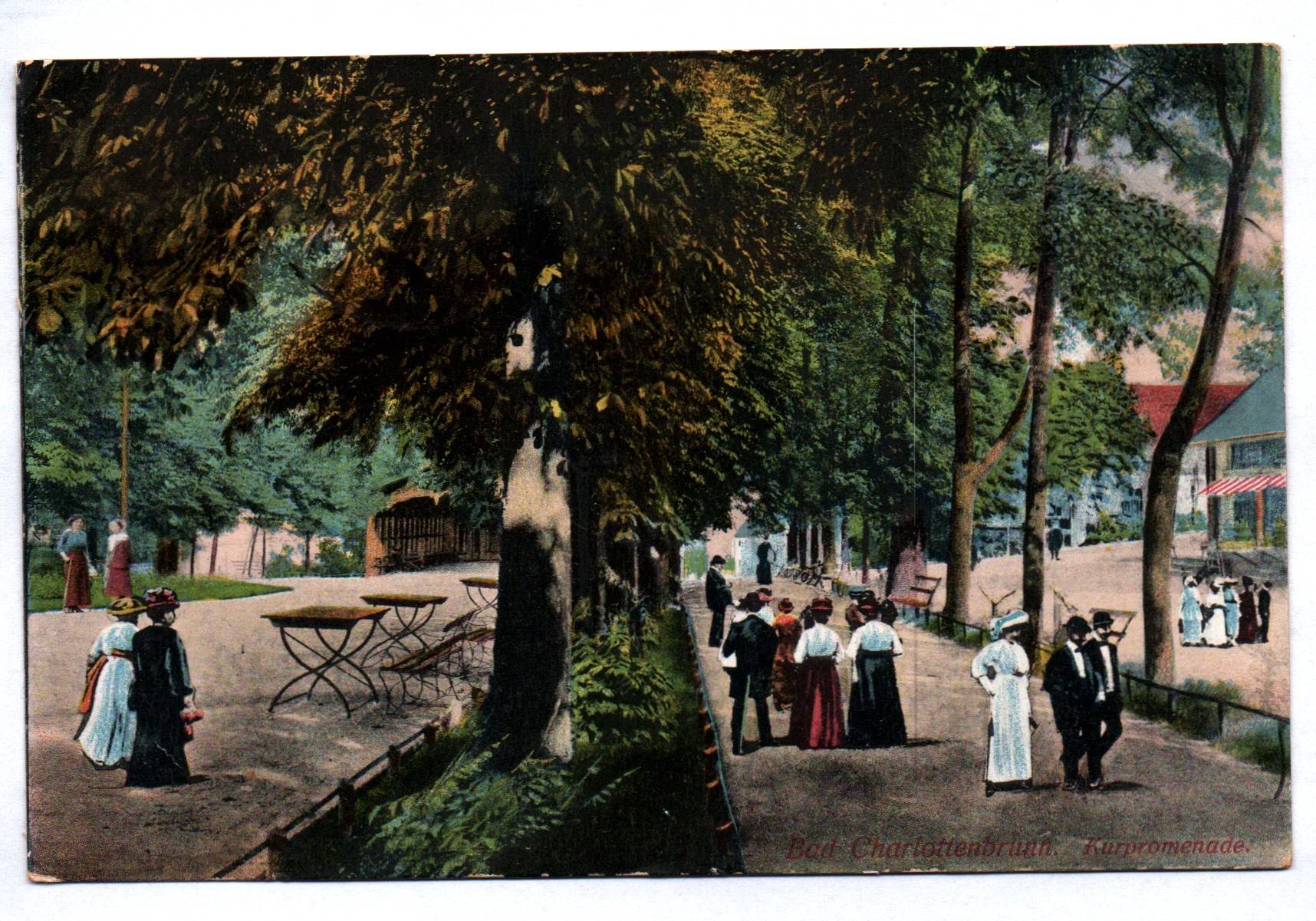 Ak Bad Charlottenbrunn Kurpromenade 1916 Kreis Waldenburg