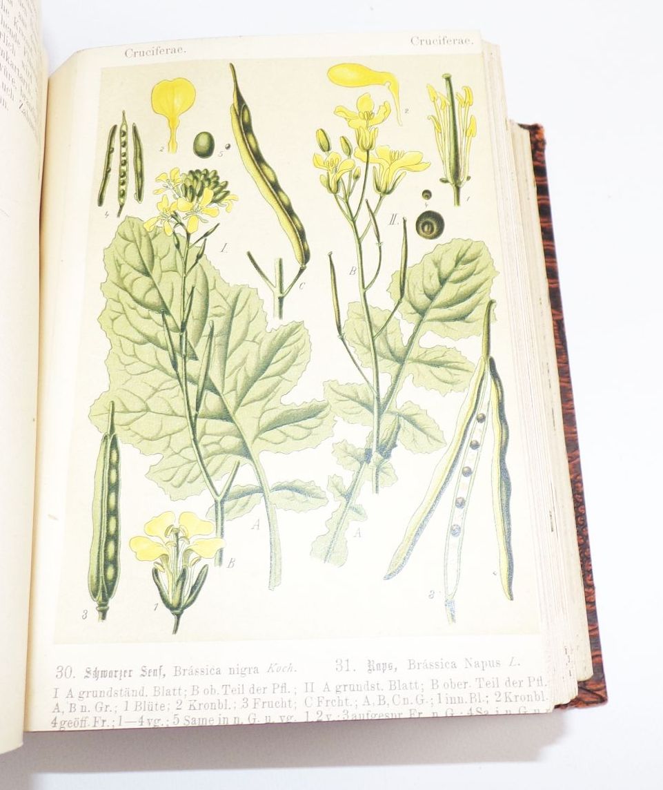 Unsere Heilpflanzen in Bild und Wort für jedermann Richard Schimpfky