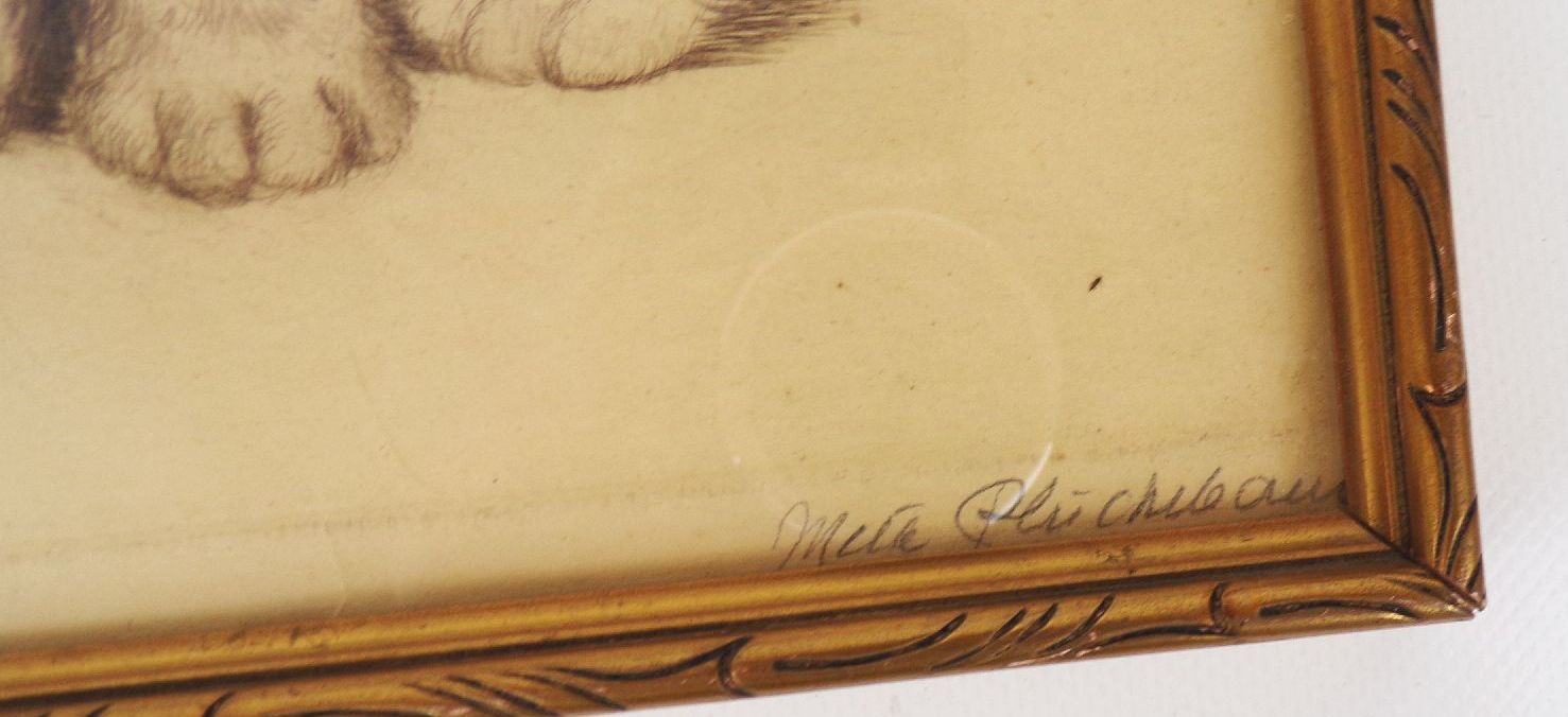 Meta Plückebaum Bitte Bitte Druck Katze Bilderrahmen