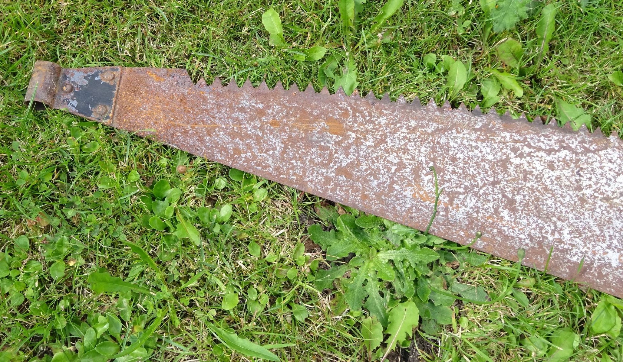 Alte Schrotsäge Hochzeit Zweimannsäge 129 cm Holzsäge vintage Alte Schrotsäge Hochzeit Zweimannsäge 129 cm Holzsäge vintage