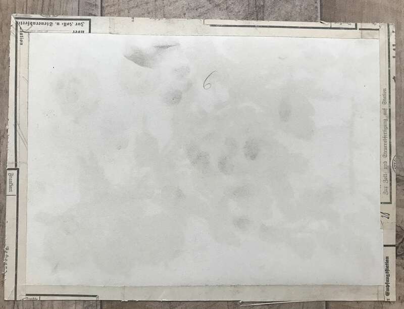 Litho Druck Veste grüne DPV 1896 Green Overall Forster Pomologie