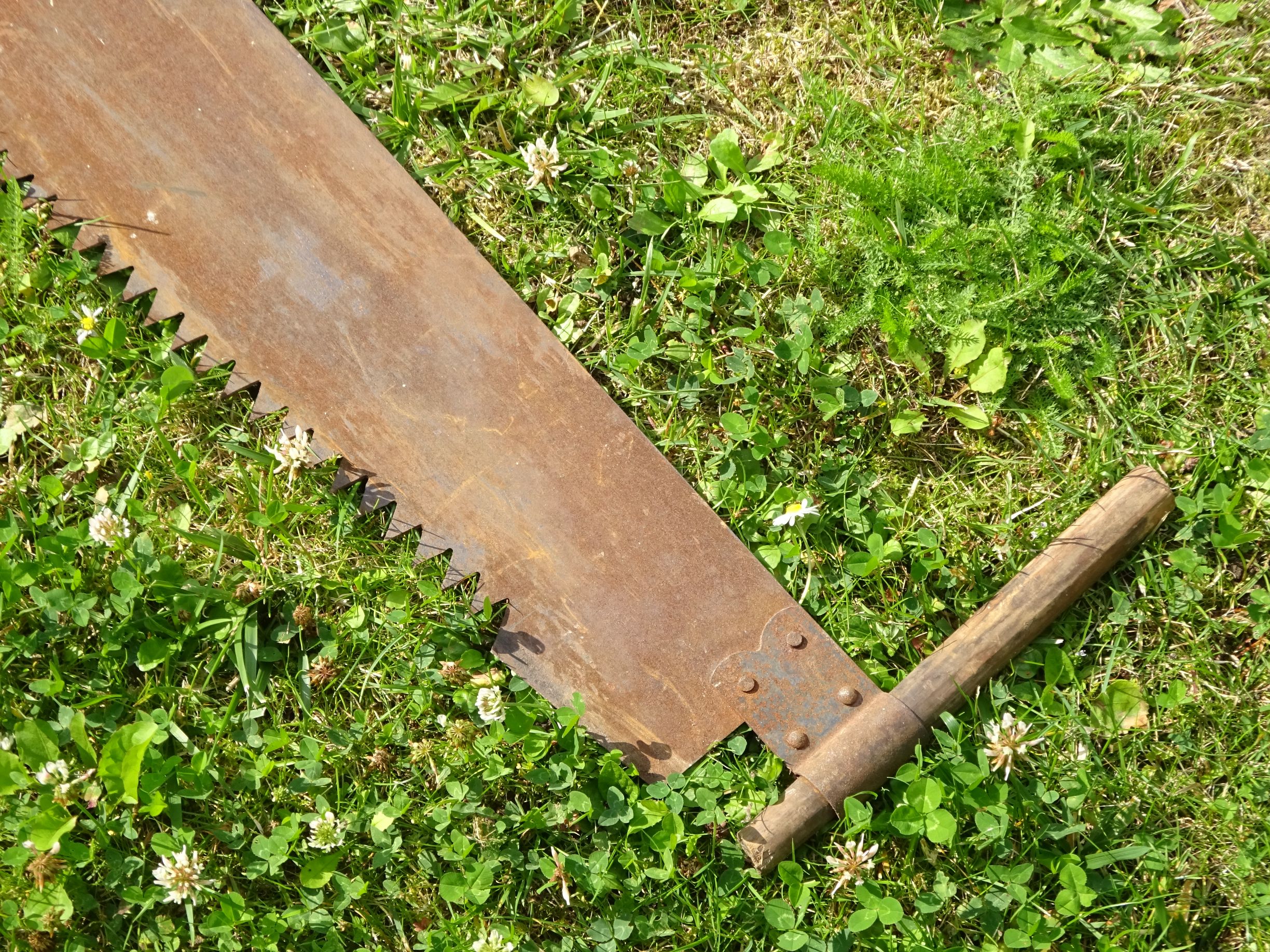 Alte Hochzeitssäge Säge Zweimannsäge 140 cm Hochzeit Schrostsäge Alte Hochzeitssäge Säge Zweimannsäge 140 cm Hochzeit Schrostsäge