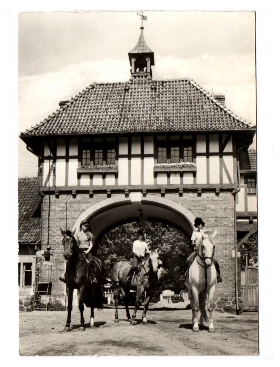 Foto Ak Gestüt Kadyny VR Polen Echtfoto Foto Ak Gestüt Kadyny VR Polen Echtfoto