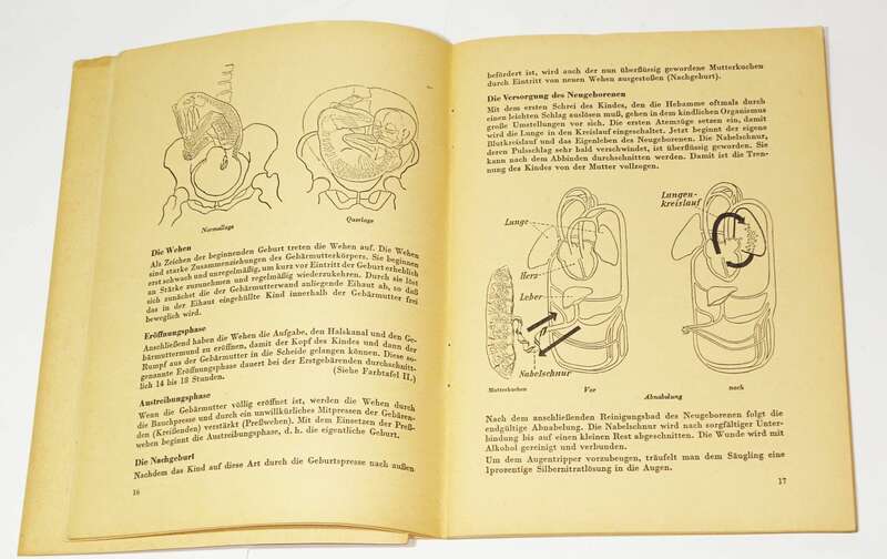 Die Frau Deutsches Hygiene Museum Dresden Medizin Aufklärung 1951