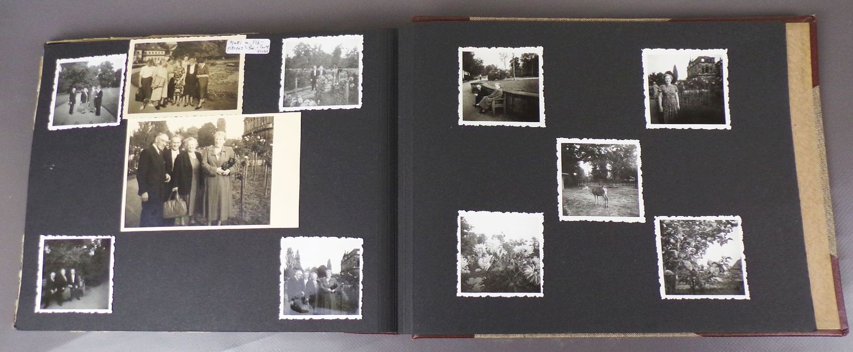 Altes Fotoalbum weiblicher RAD Alltag Ausflug 1949 Altes Fotoalbum weiblicher RAD Alltag Ausflug 1949