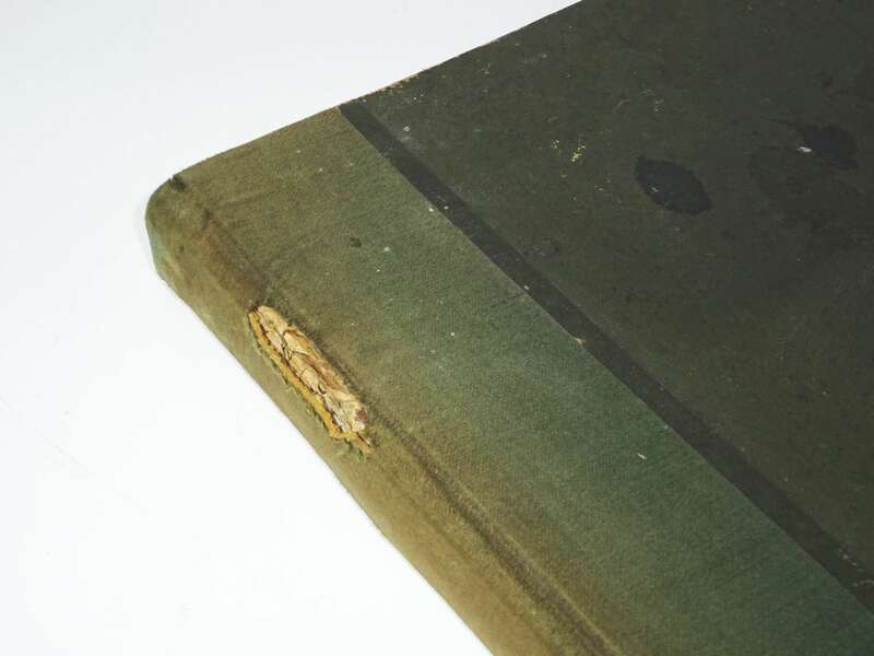 Geflügel Börse 1911 Tier Börse 1912 gebundene Zeitschrift Tierzucht 