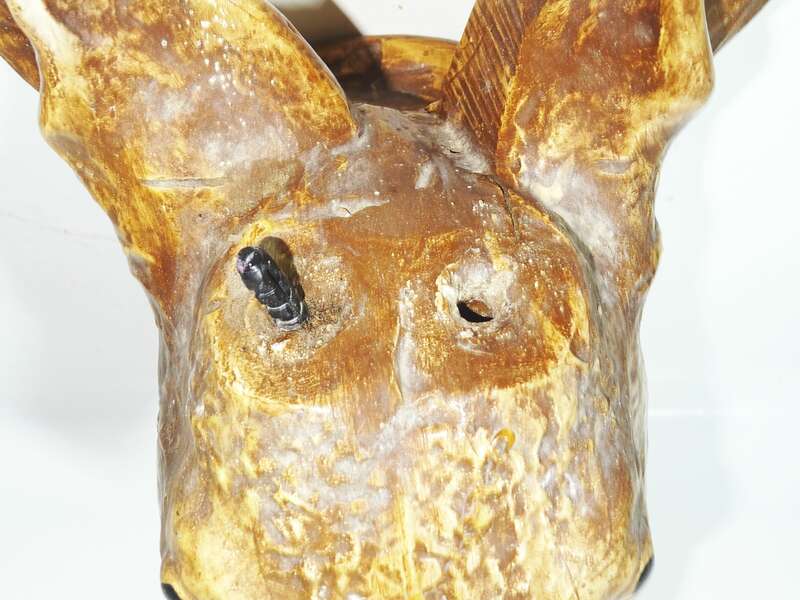 Uralte Jagdtrophäe Rehbock um 1900 wohl Gips Modelliermasse 