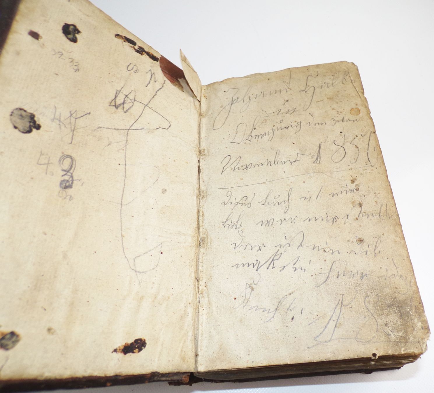 Die Bibel oder die ganze Heilige Schrift 1815 Luther Ledereinband 