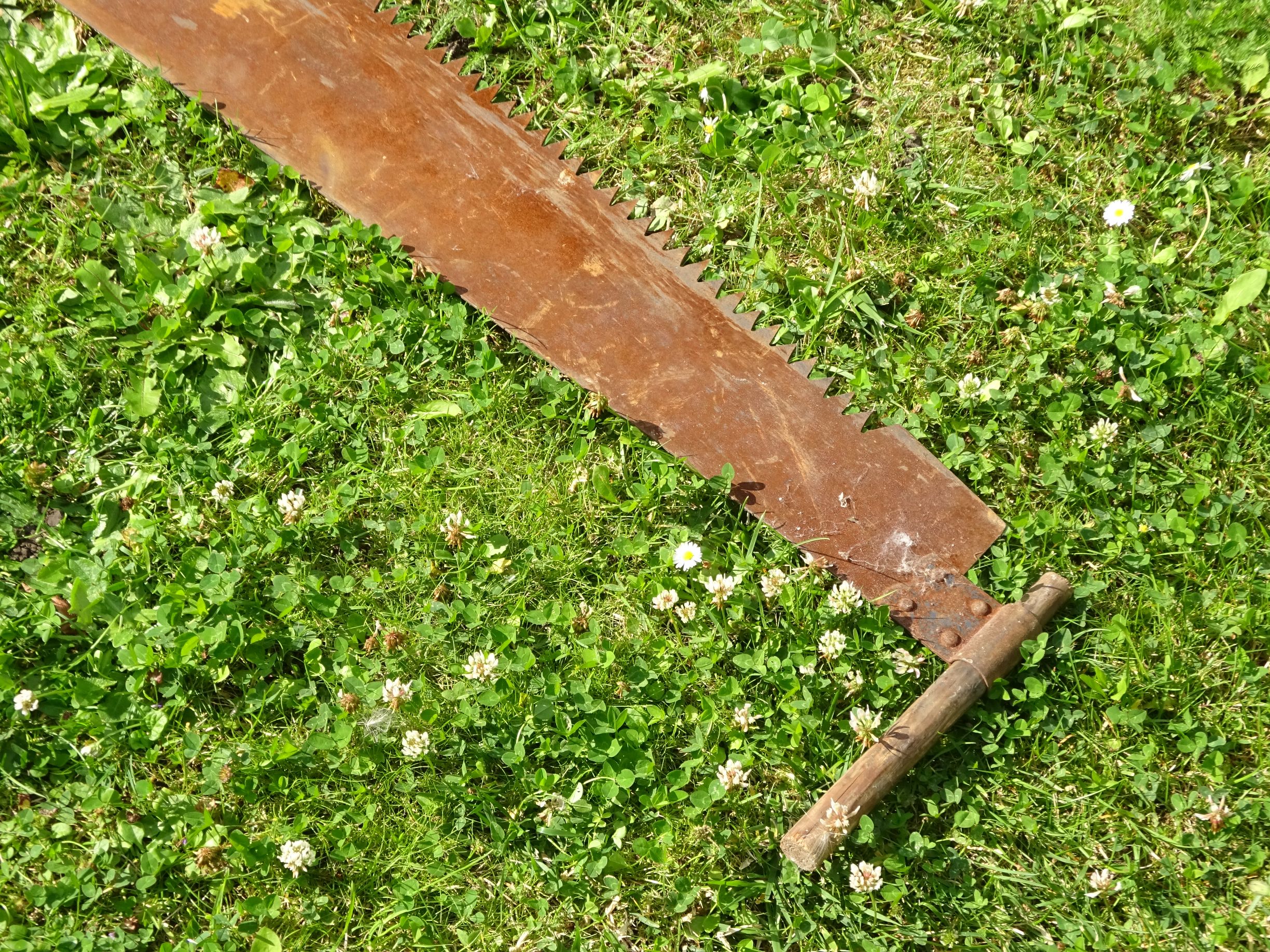 Alte Hochzeitssäge Säge Zweimannsäge 140 cm Hochzeit Schrostsäge Alte Hochzeitssäge Säge Zweimannsäge 140 cm Hochzeit Schrostsäge