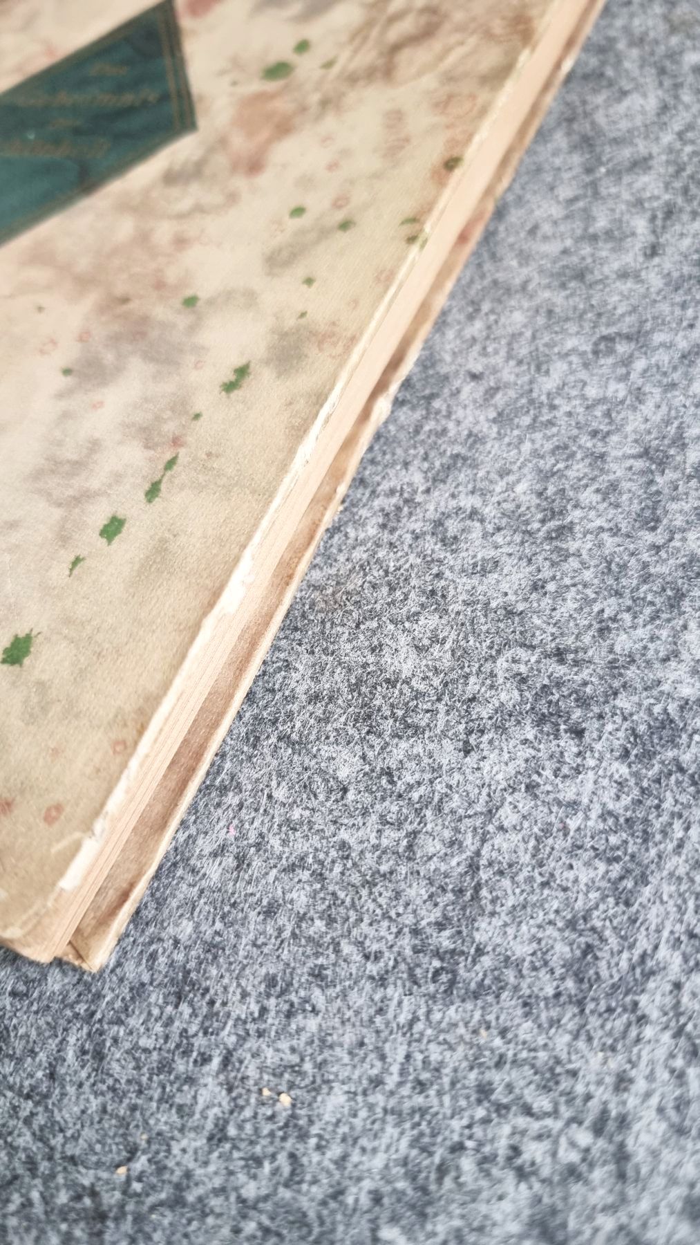 Das Geheimnis der Schönheit von Ola Alsen Berlin 1920 altes Buch Das Geheimnis der Schönheit von Ola Alsen Berlin 1920 altes Buch