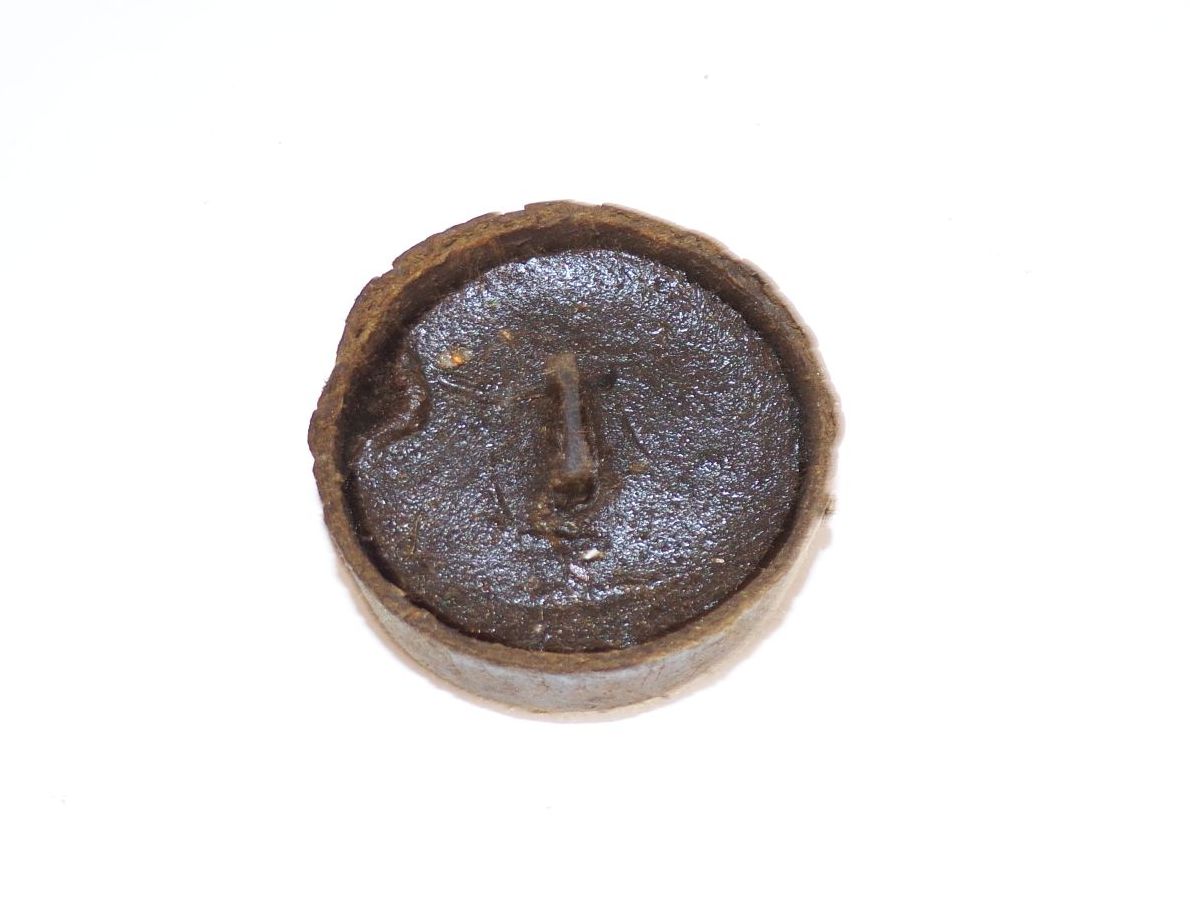 Alte Kerzen Bunkerleuchten Notlicht 10er Pack Bismarckleuchte Teelicht Alte Kerzen Bunkerleuchten Notlicht 10er Pack Bismarckleuchte Teelicht