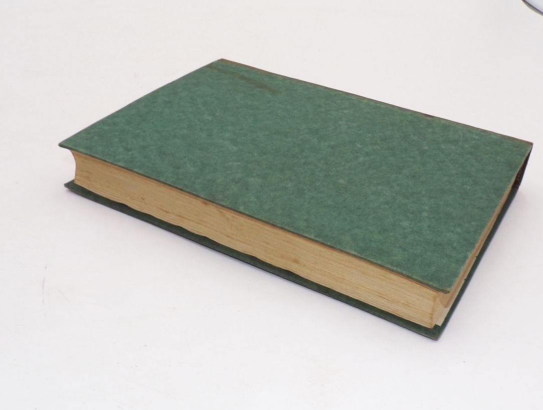 Elektro galvanische Heilkunde Ein Handbuch zur Selbstbehandlung 1924 Buch Elektro galvanische Heilkunde Ein Handbuch zur Selbstbehandlung 1924 Buch