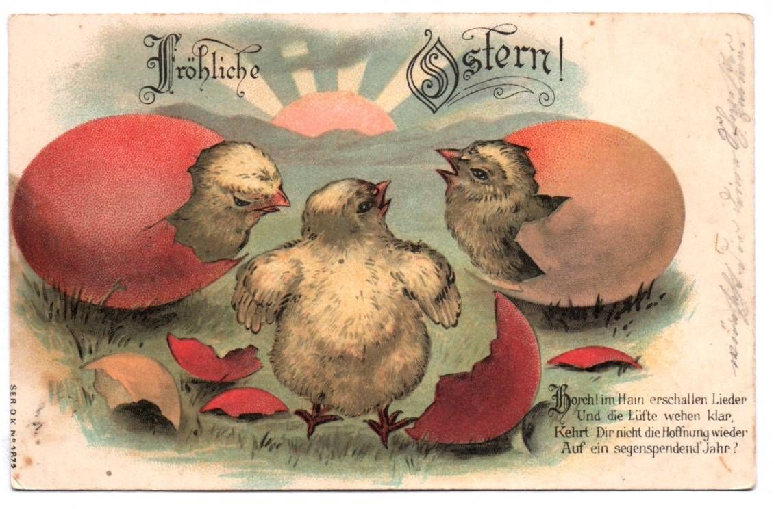 Litho Ak schlüpfende Küken Fröhliche Ostern 1904