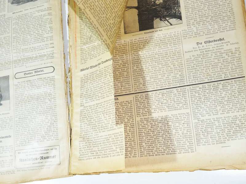 Geflügel Börse 1911 Tier Börse 1912 gebundene Zeitschrift Tierzucht 