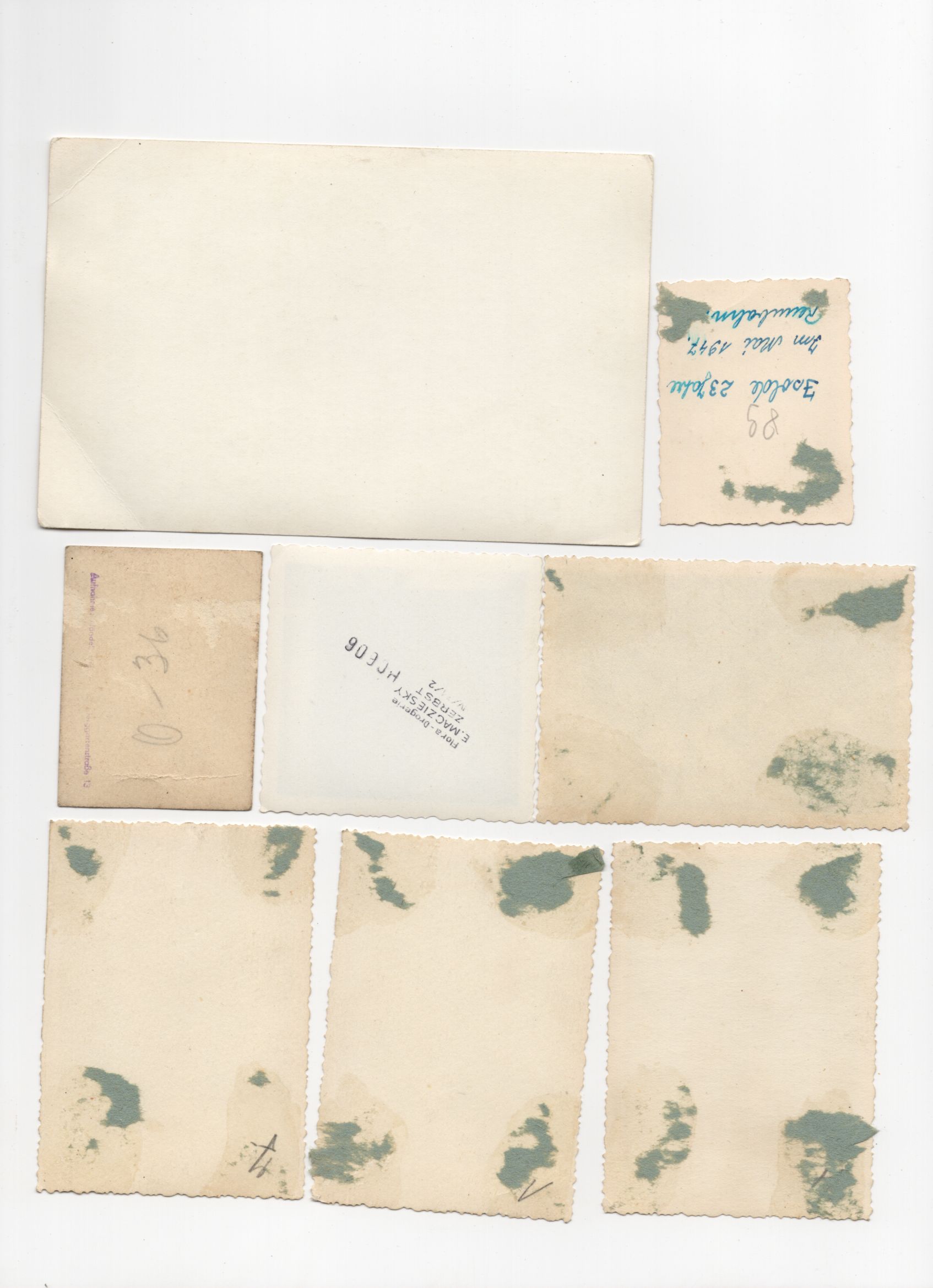 Foto Konvolut weiblicher KVP 1950er DDR Volkspolizei Foto Konvolut weiblicher KVP 1950er DDR Volkspolizei