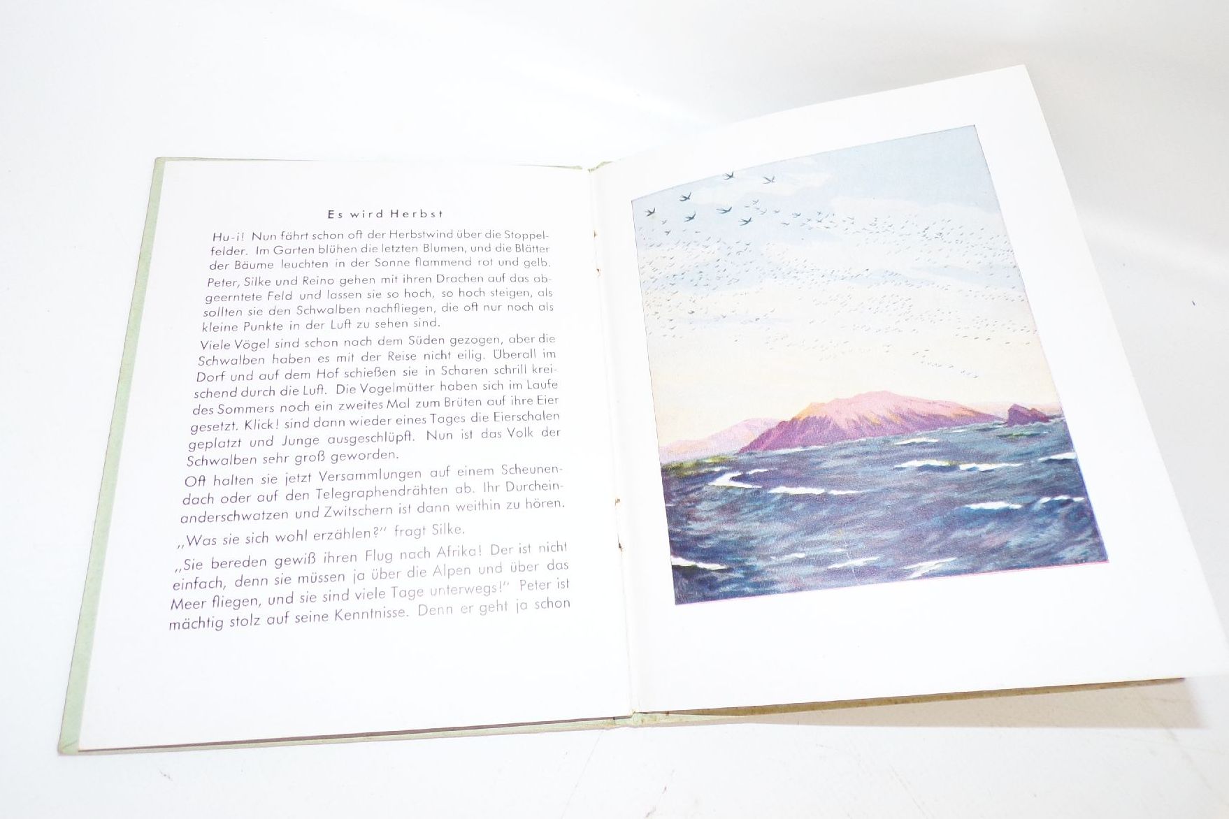 Schwälbchen Zoe Droysen Franz Schneider Verlag 1942 Schwalben Kinderbuch