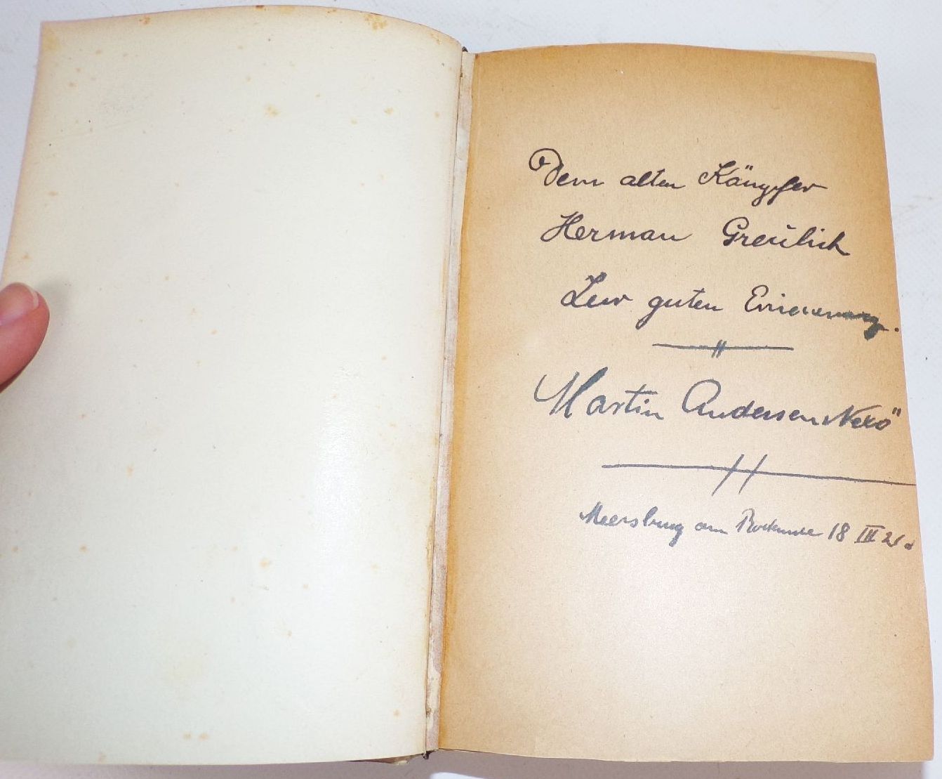 Pelle der Eroberer 2 Bände Martin Andersen Nexö Insel Verlag 1920 Einband 