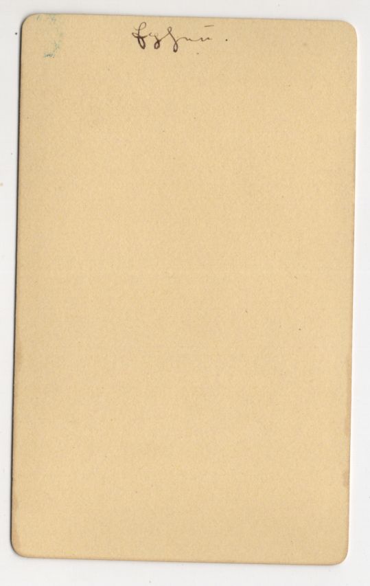 CdV Foto Efeu mit Blumen um 1880 koloriert Botanik Pflanzen Vintage