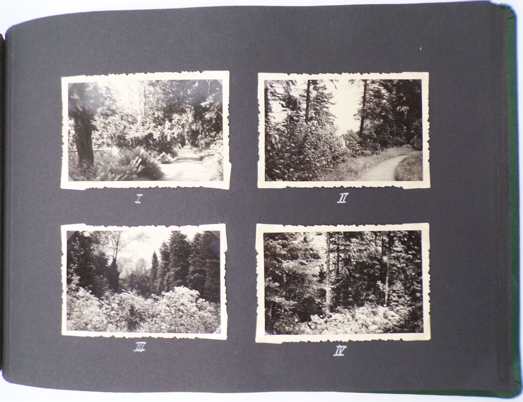Fotoalbum 1958 Bautzen Gödlau Kamenz Quatitz Bischofswerda 