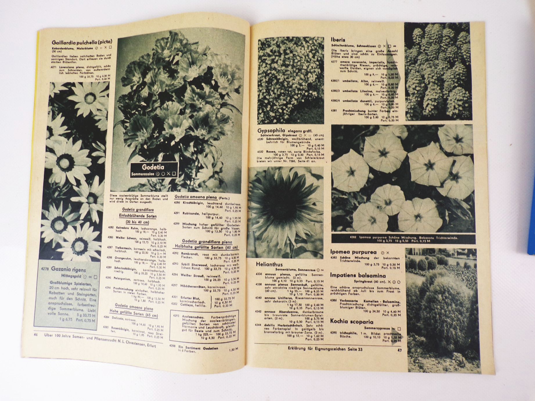 Konvolut DDR Gärtner Kataloge Broschüren Stauden Saatgut Sträucher Konvolut DDR Gärtner Kataloge Broschüren Stauden Saatgut Sträucher