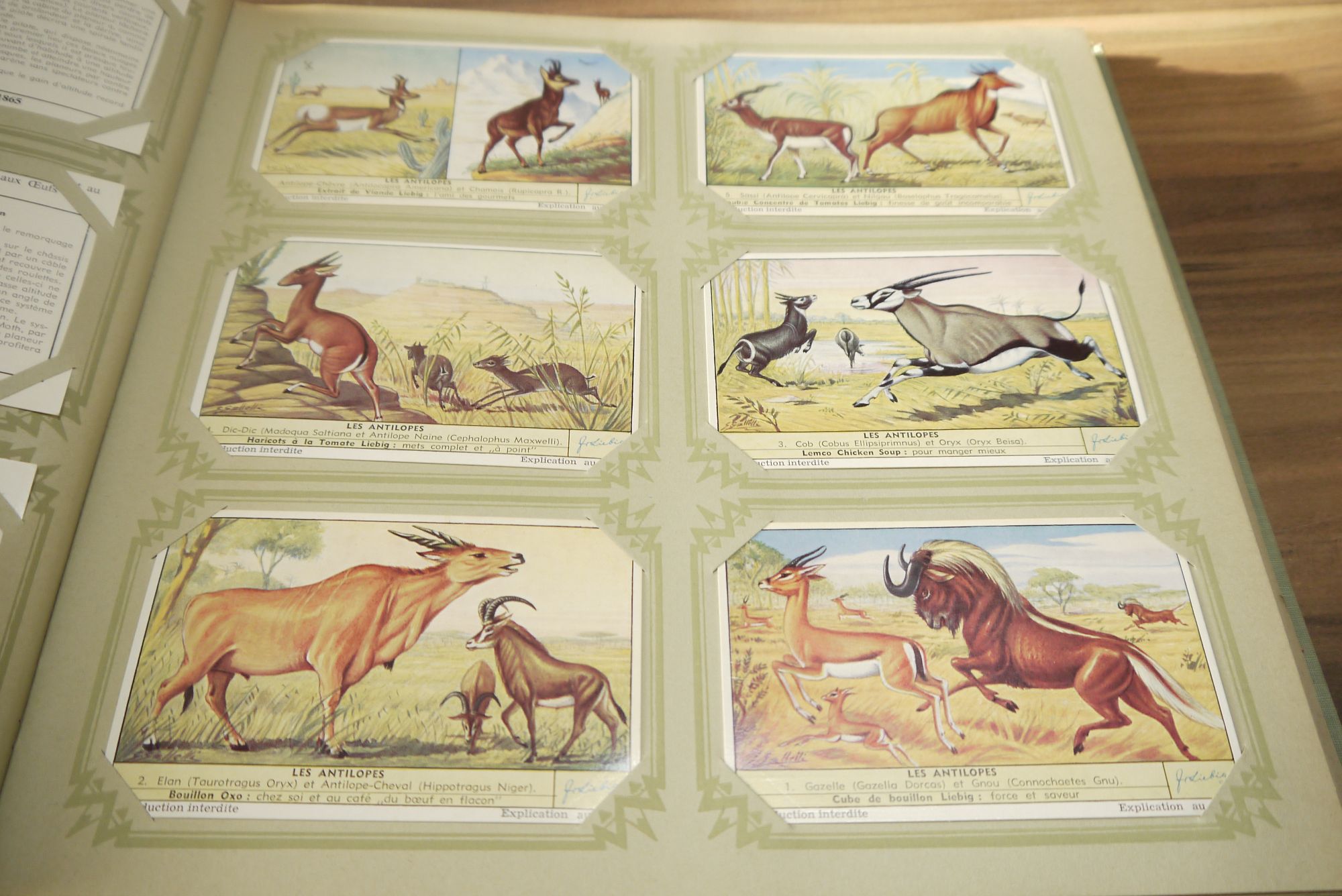 Liebig Sammelbilder Album ca 49 Seiten 294 Karten Sammelalbum