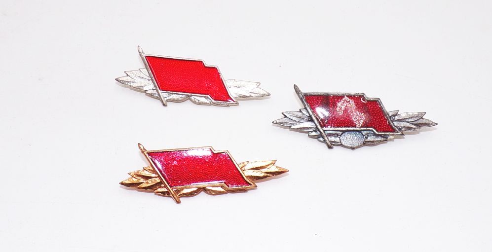 Besten Abzeichen Kampfgruppe Silber Bronze mit Urkunden