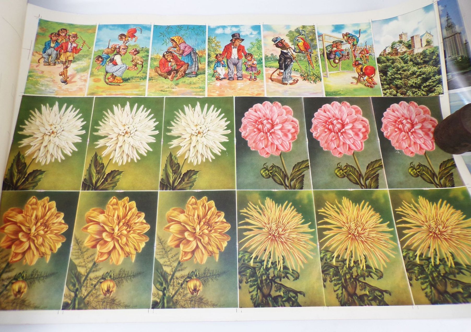 Druckbögen Muster DDR Ansichtskarten Postkarten Mecki Blumen Künster 