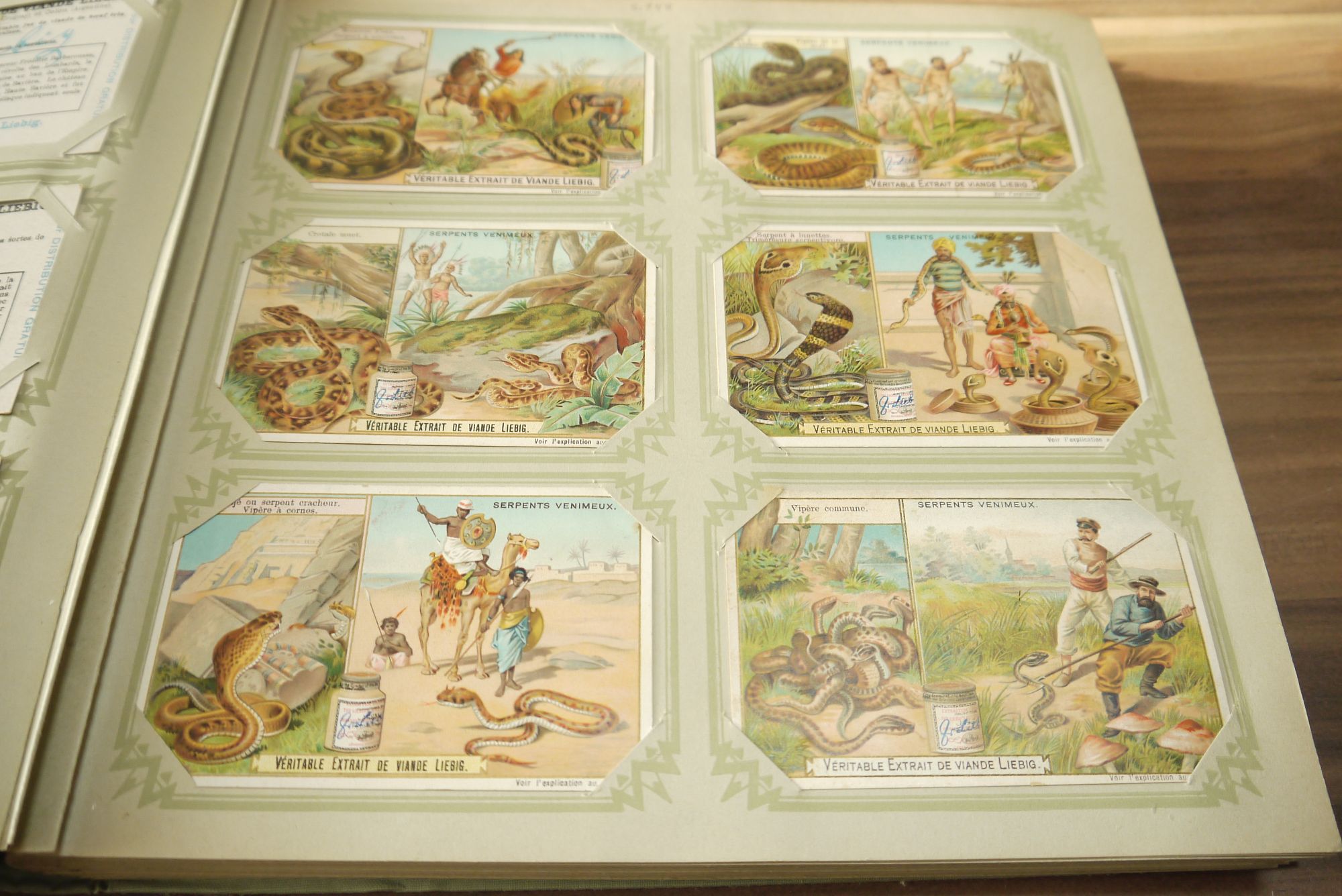 Liebig Sammelbilder Album ca 49 Seiten 294 Karten Sammelalbum