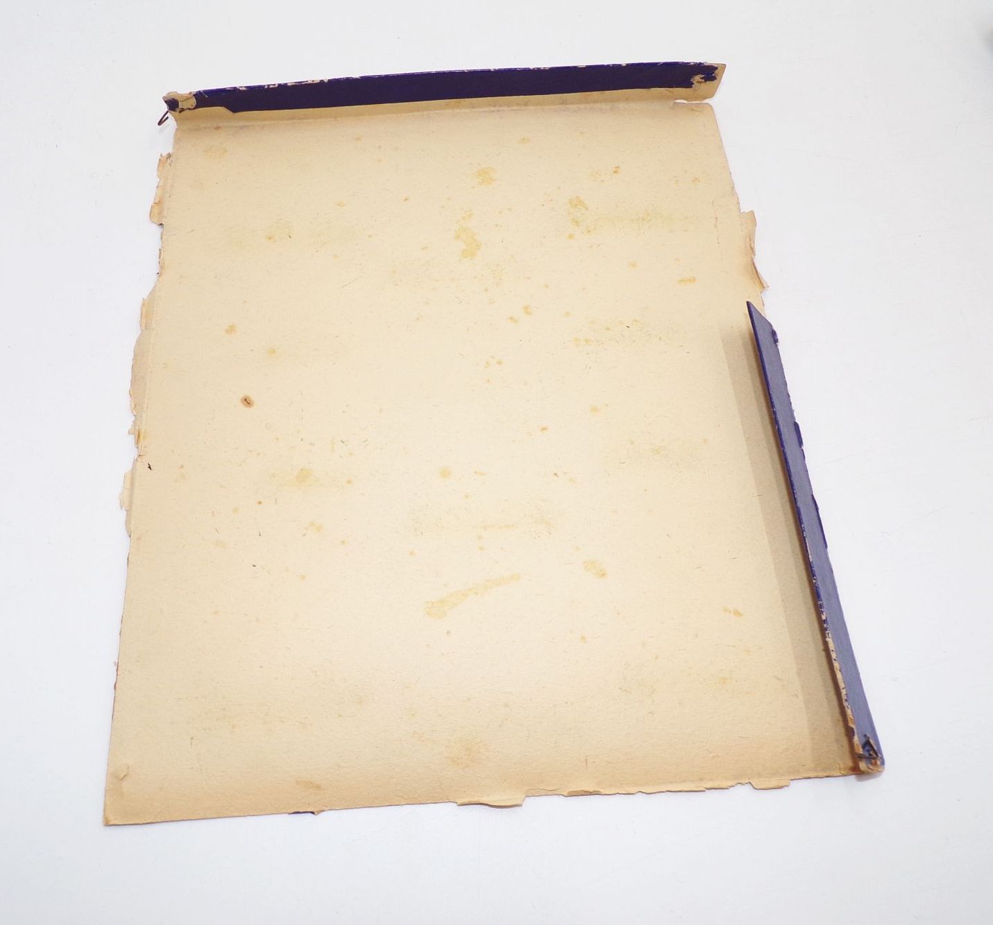 Alte Birkola Flachfiguren um 1930 Rosswein Hühner Hahn Gänse