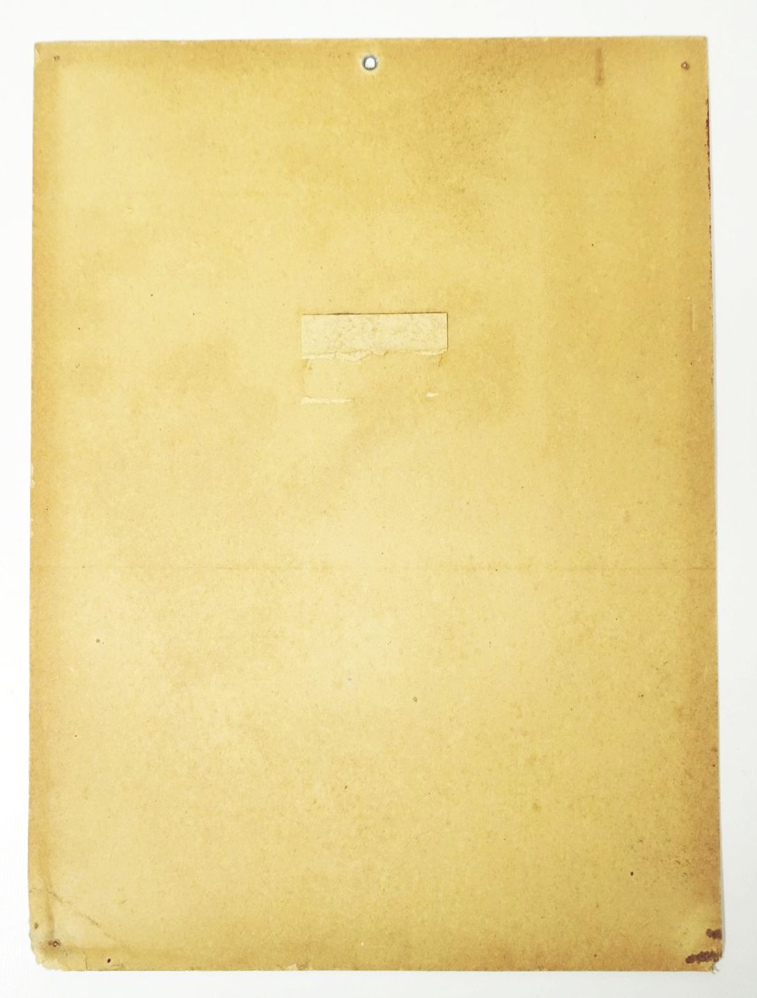 Pappschild Blitzschutz Heliogen Isolator Argus Druck 1930er Deko Sammler