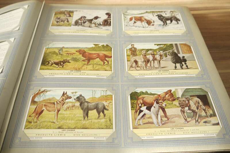 Liebig Sammelalbum Chromo ca 50 Seiten 300 Sammelbilder