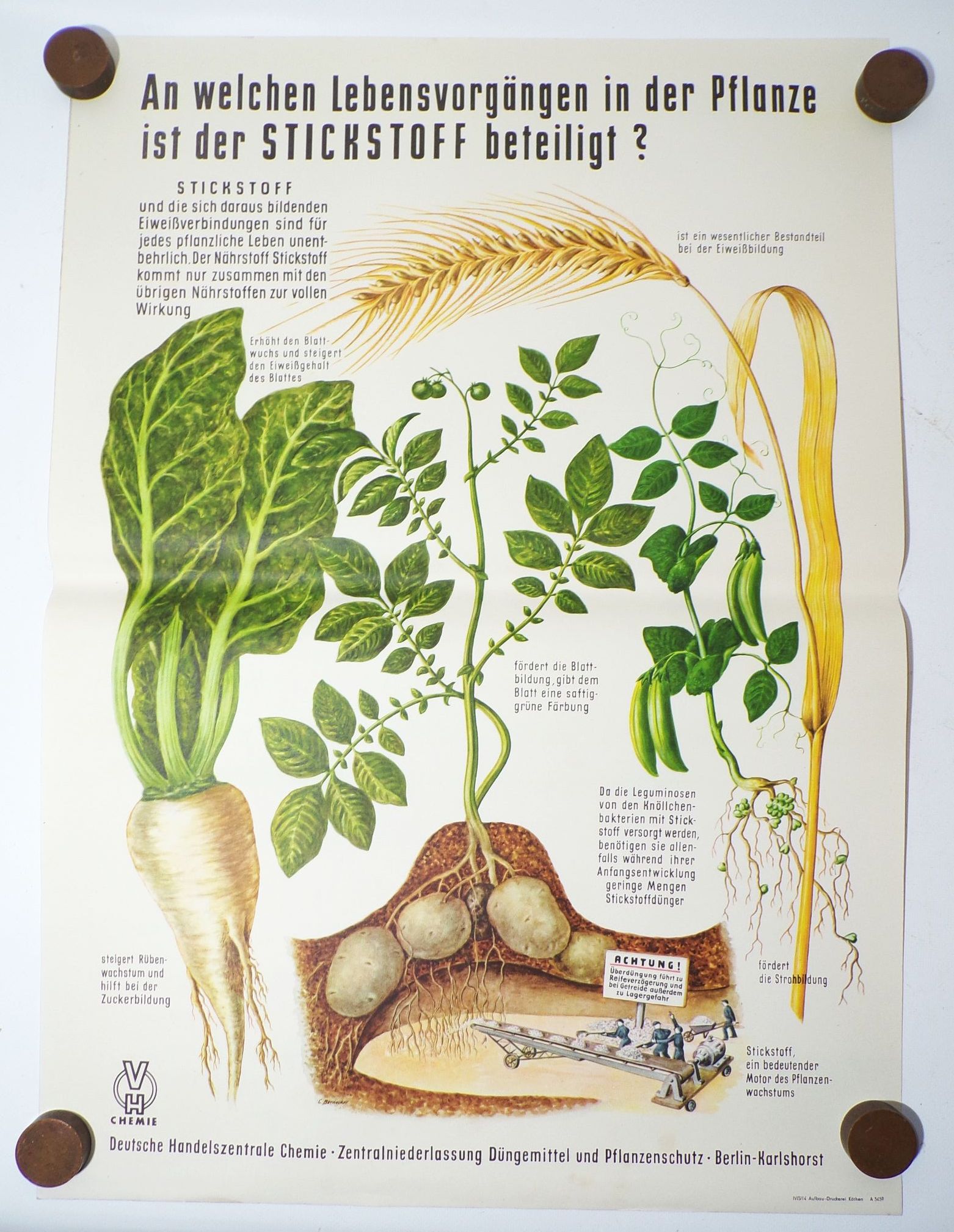 DDR Plakat Dünger Stickstoff Landwirtschaft Bauer LPG 1959 Reklame Sammler