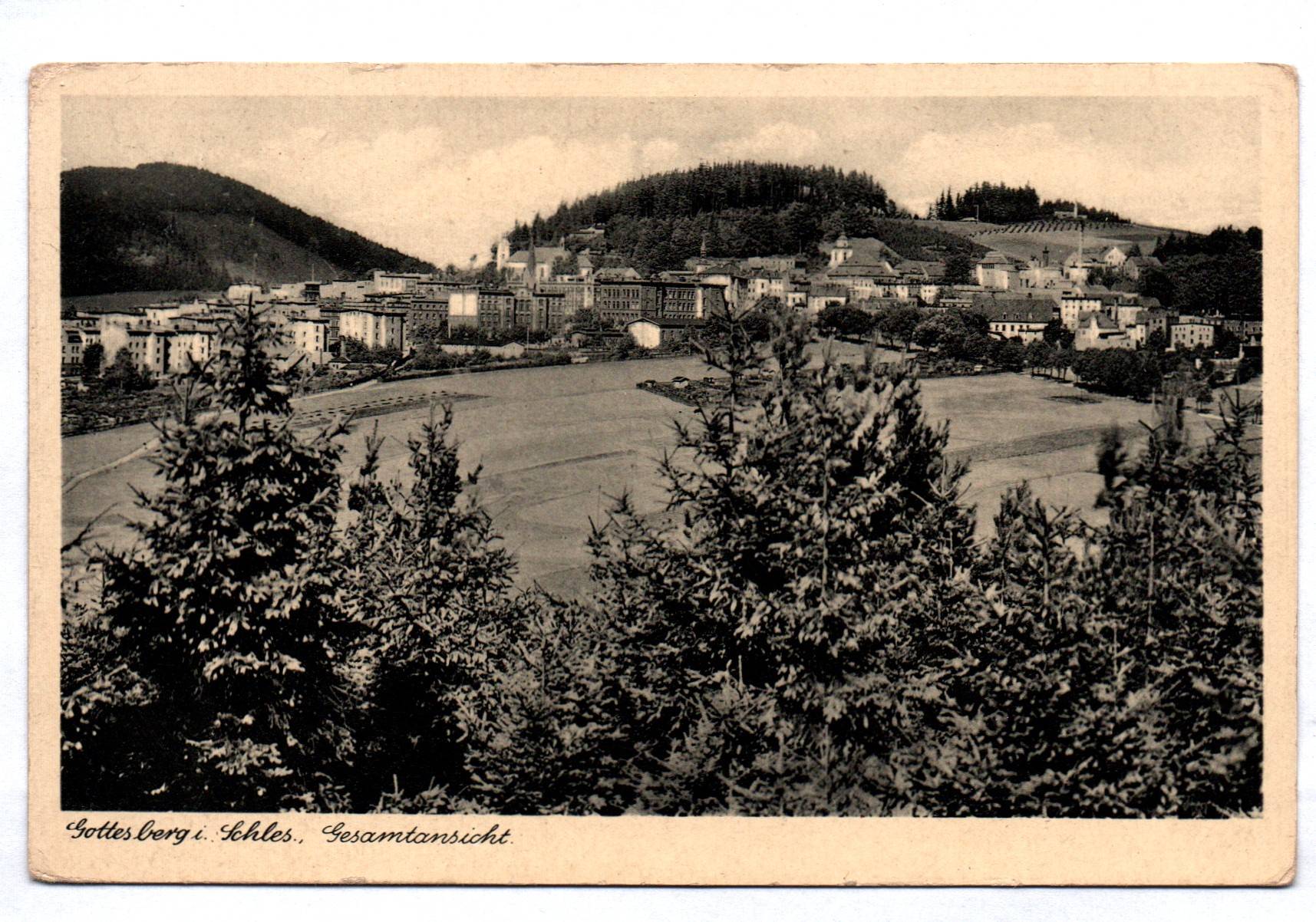 Ak Gottesberg in Schlesien Gesamtansicht 