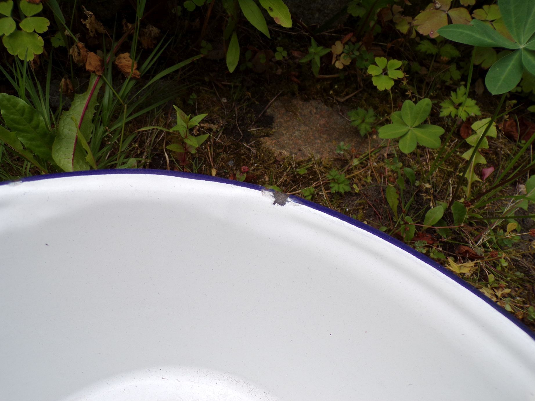 Alte Waschschüssel Pflanzschale blau weiß Email Schüssel Vintage Alte Waschschüssel Pflanzschale blau weiß Email Schüssel Vintage