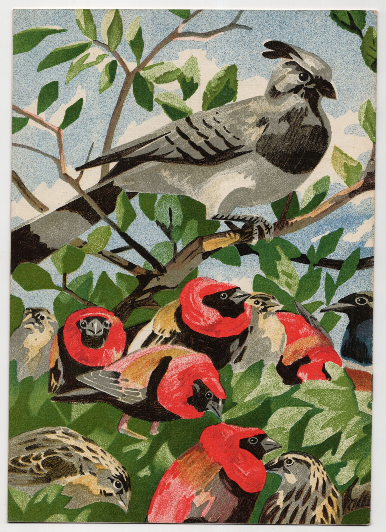 Alte Tierpark Zeitung München Juli 1938 Michael Mathias Kiefer Cover