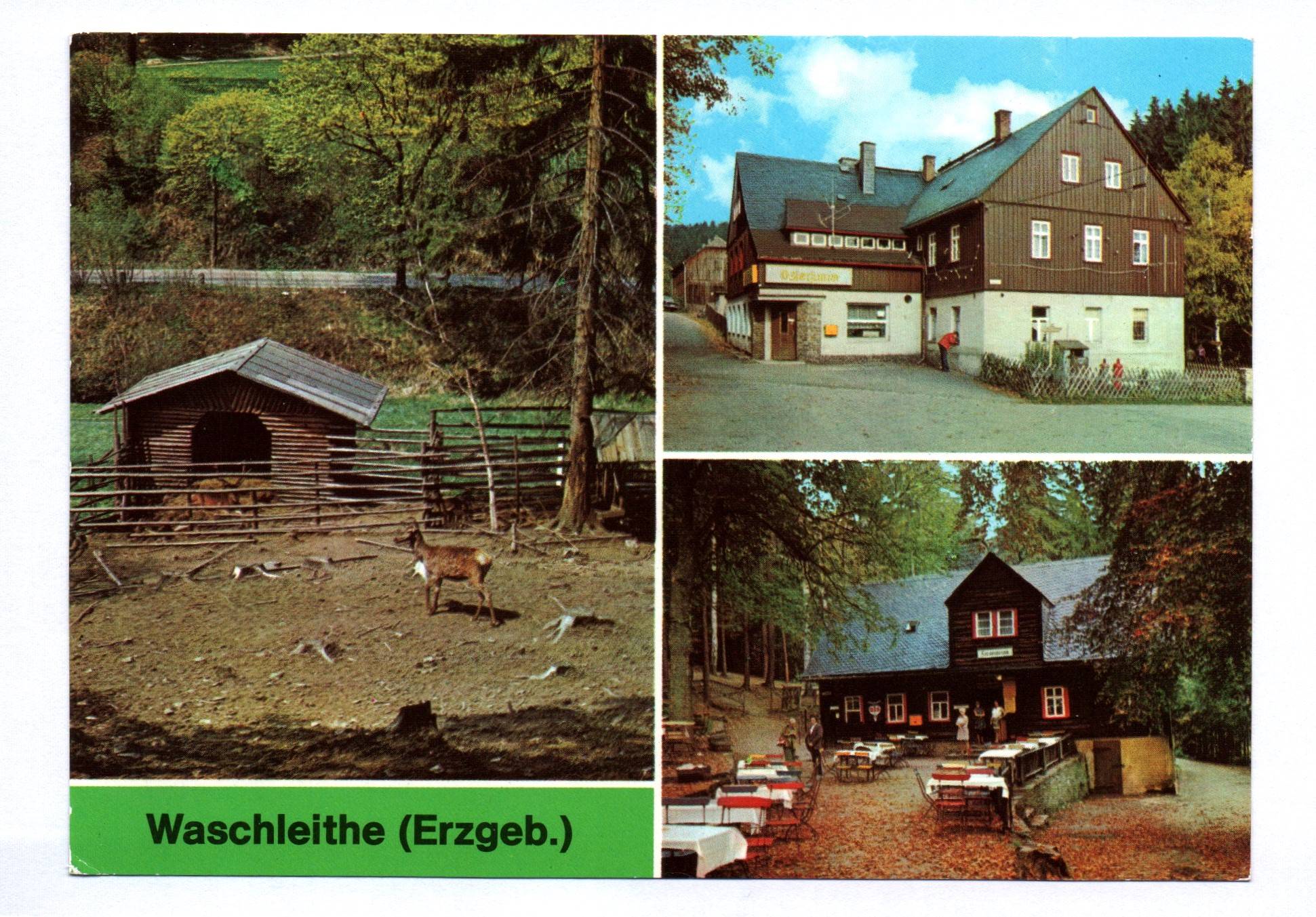 Ak Waschleithe Erzgebirge Tierpark Gaststätte Osterlamm Köhlerhütte 1980 Ak Waschleithe Erzgebirge Tierpark Gaststätte Osterlamm Köhlerhütte 1980