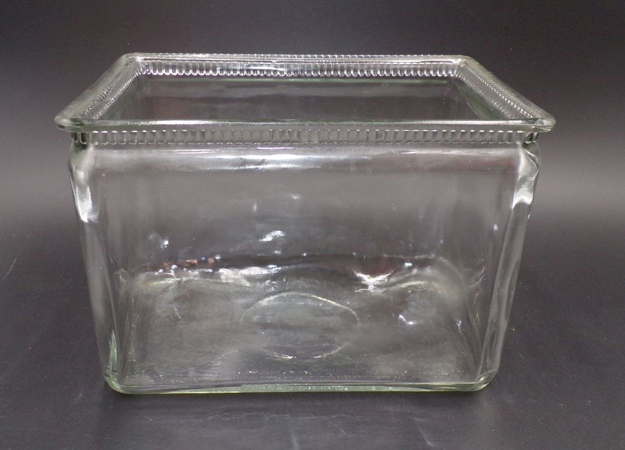 Altes Glas Rechteck Behälter Pflanzgefäß Batterieglas Antik Paludarium