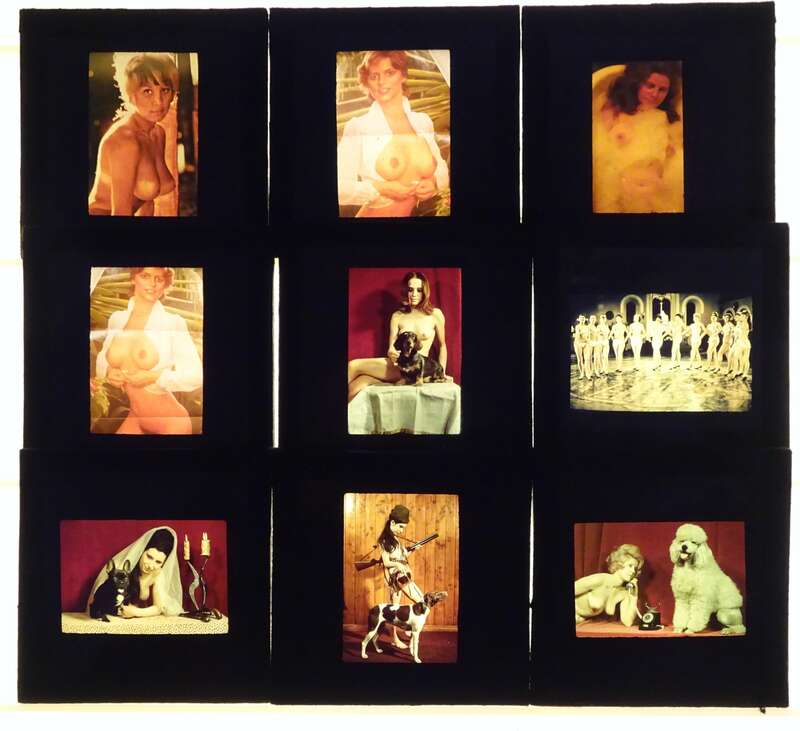 Akt Dia 85 Stück Farbdias nackte Frauen Erotik Nude Naked DDR Glasdia
