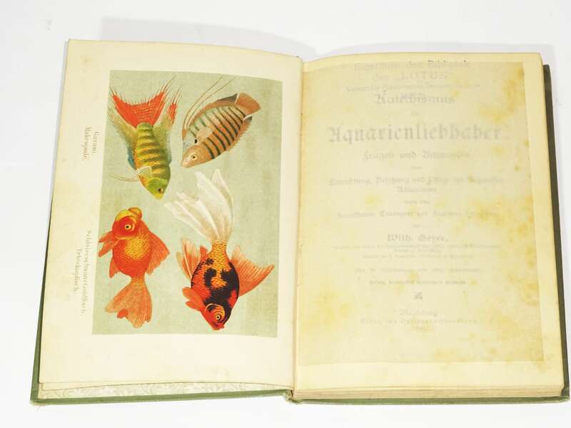 Kateschismus für Aquarienliebhaber 1896 Wilhelm Geyer Süßwasser Aquarium Fische
